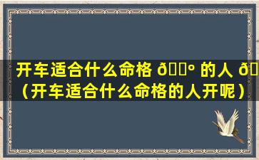 开车适合什么命格 🐺 的人 🐠 （开车适合什么命格的人开呢）